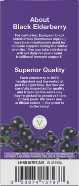 Sambucus Organic Traditional Immune Elderberry Syrup for Kids - 4 fl oz (120 ml) By Nature's Way