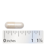 Youthful You™ DHEA 5mg - 60 capsules By Nature's Way