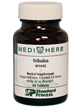 Tribulus M1445 by MediHerb 40 tablets