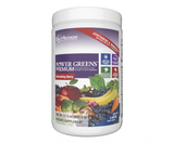 Power Greens® Premium Berry (42 servings) 17.3 oz. by NuMedica