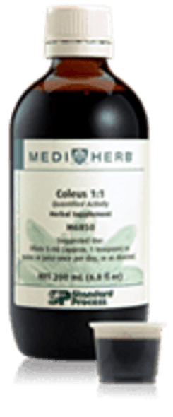 Coleus 1:1 M6850 by MediHerb 200 mL (6.8 fl oz) (Best By Date September 2020)