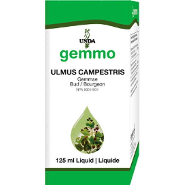 Ulmus Campestris 4.5 oz by Unda