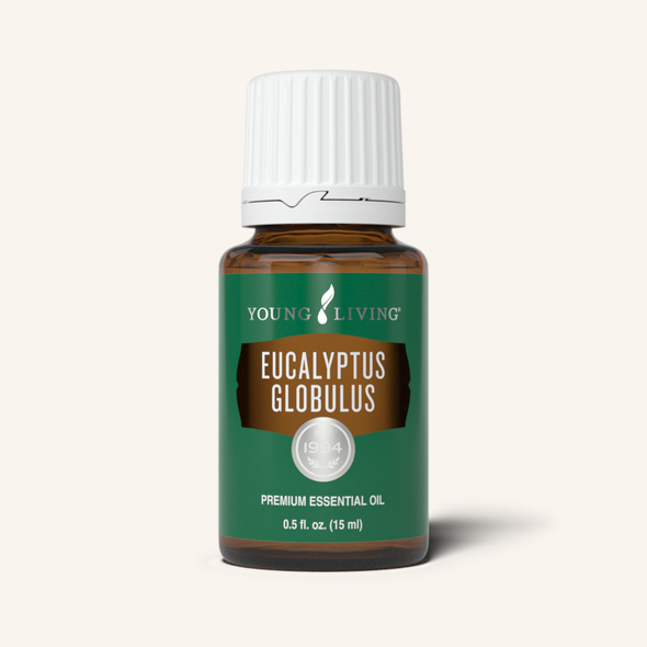 Eucalyptus Globulus essential oil contains eucalyptol, which creates a refreshing breathing experience when inhaled and provides an invigorating sensation on the skin when applied topically.*