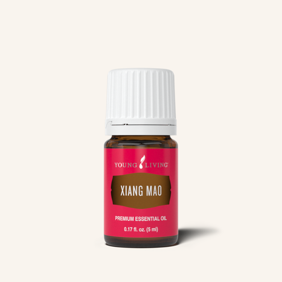 Xiang Mao was used traditionally to freshen household air, enlighten the mind, and moisten the skin.