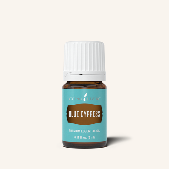 Blue Cypress Essential Oil 5 ml by Young Living