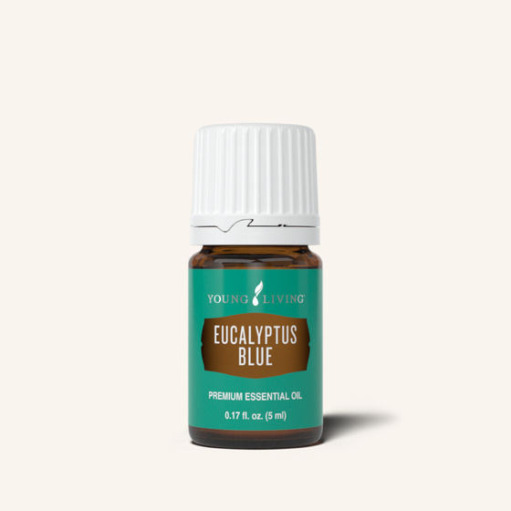 Eucalyptus Blue Essential Oil 5 ml by Young Living