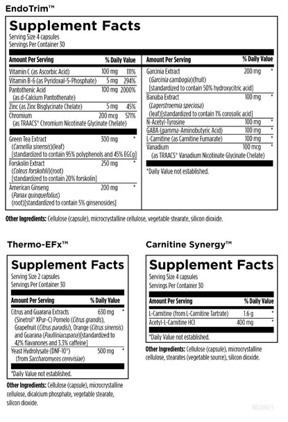 Weight Loss Support Packets 60 packets by Designs For Health