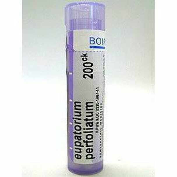 Eupatorium perfoliatum 200CK 80 plts by Boiron