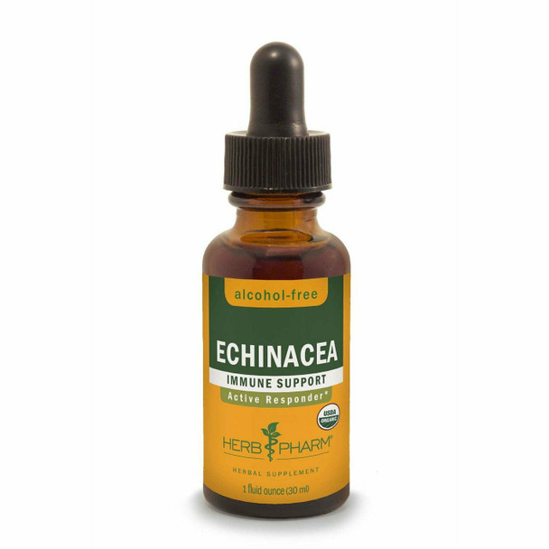 Echinacea Alcohol-Free by Herb Pharm - 4 oz