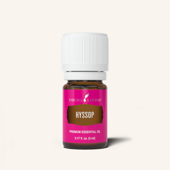 Hyssop has a slightly sweet scent and was considered a sacred oil in ancient Egypt, Israel, and Greece. Its fragrant scent stimulates creativity and meditation.
