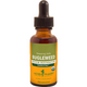 Bugleweed by Herb Pharm - 1 oz