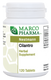 Cilantro Tablets by Marco Pharma 120 Tablets