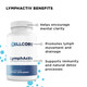 Liver Support Kit by CellCore Biosciences Detoxification Support, Digestive Support, Immune Support