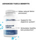 Stomach Support Kit by CellCore Biosciences Gut Terrain Support*, Detoxification Support*, Drainage Support*