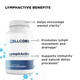 Step 4: Systemic Detox by CellCore Biosciences Detoxification Support*, Lymphatic Support*, Immune System Support*