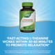 L-Theanine - 60 capsules By Nature's Way