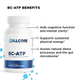 Energy3 Bundle by Cellcore Biosciences