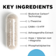 Sleep Restore by Cellcore Biosciences 60 capsules