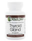 Thyroid Gland by Vinco