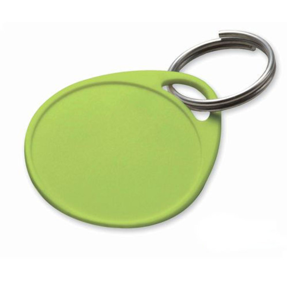 Label-It Tags, Style 250 with key ring (bulk Lime Green) 100pcs