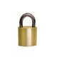 Padlocks by Olympus