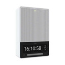 AXIS C1710 indoor network display speaker facing right