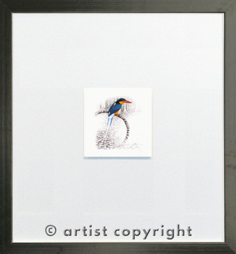 David H Stacey, Buff Breasted Kingfisher Standard Black Frame