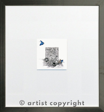 David H Stacey, Common Oak Blue Butterflies Standard Black Frame