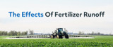 The Effects of Fertilizer Runoff