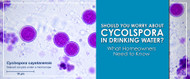 Should You Worry About Cyclospora in Drinking Water?