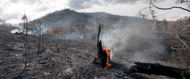 How Wildfires Contribute to Water Contamination