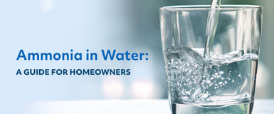 Ammonia in Water: A Guide for Homeowners