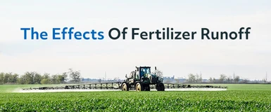 The Effects of Fertilizer Runoff