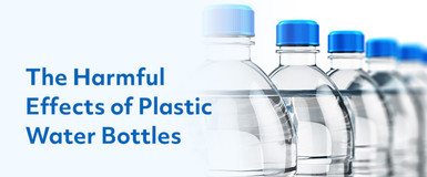 The Harmful Effects of Plastic Water Bottles