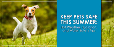 Keep Pets Safe This Summer