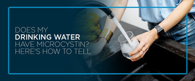 Does My Drinking Water Have Microcystin? 