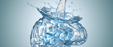 Water for Mental Wellbeing