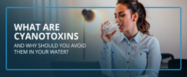 What Are Cyanotoxins, and Why Should You Avoid Them in Your Water?