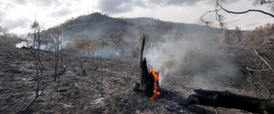 How Wildfires Contribute to Water Contamination