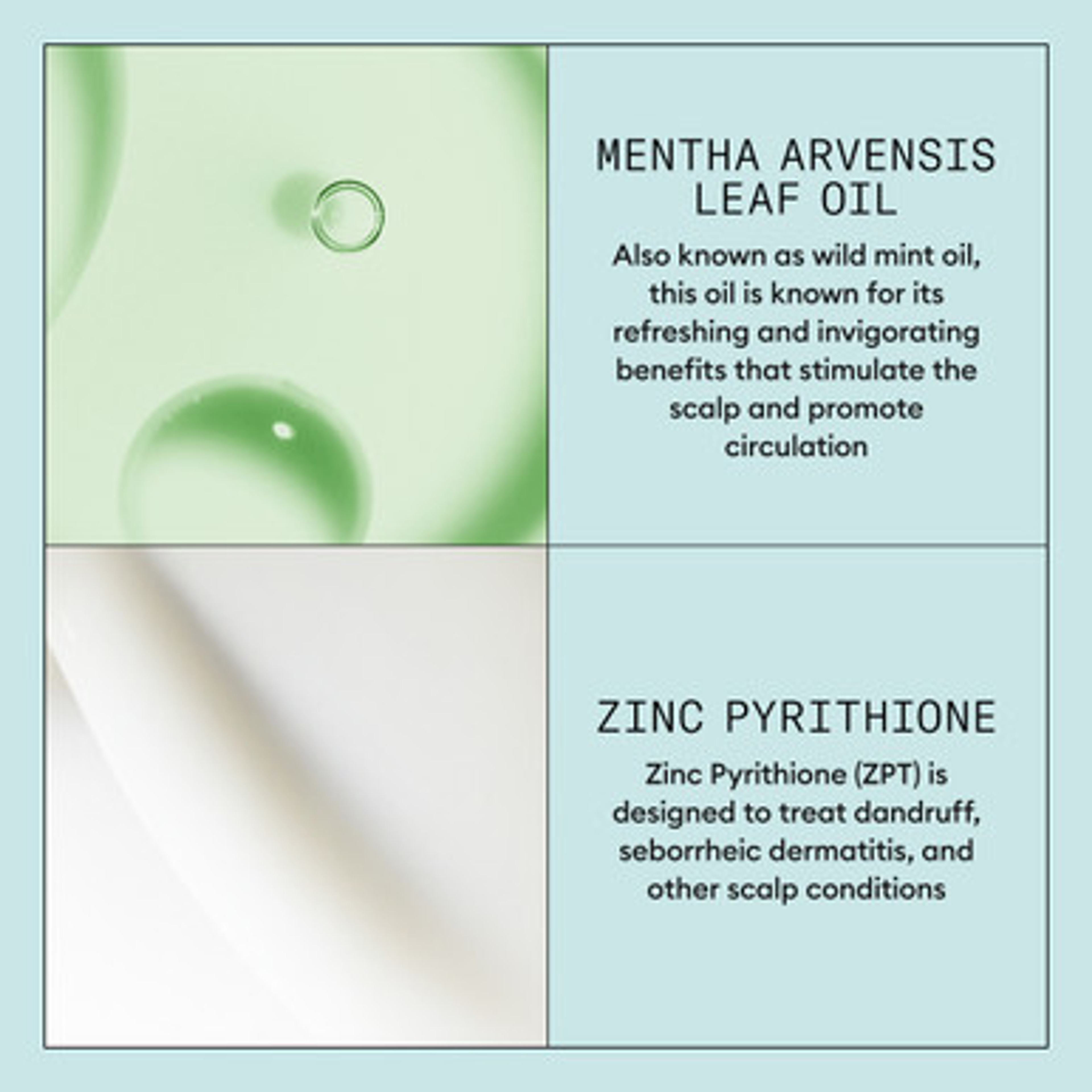 Scalp Recovery Serum 100 ml