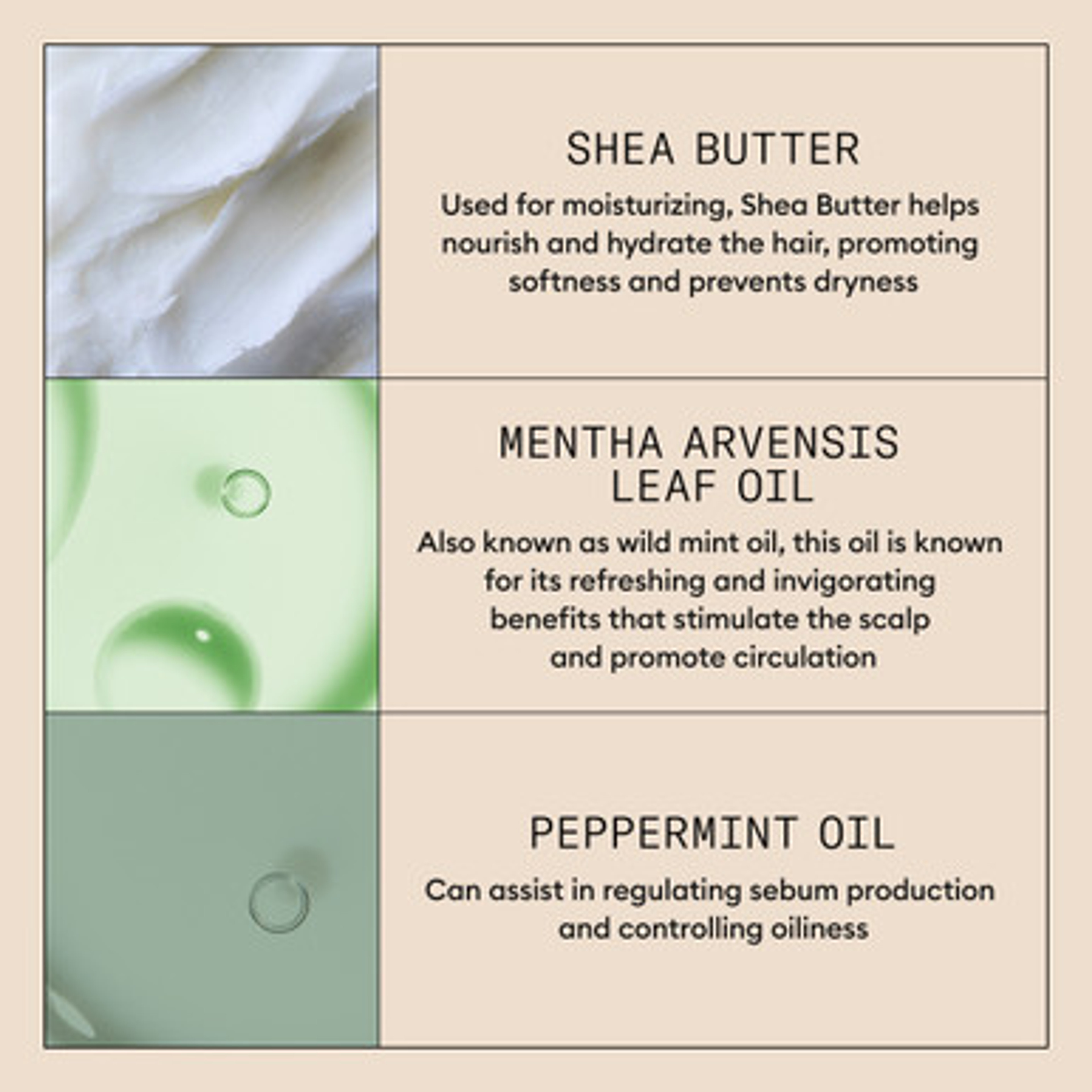 Purifying Exfoliator  50 ml