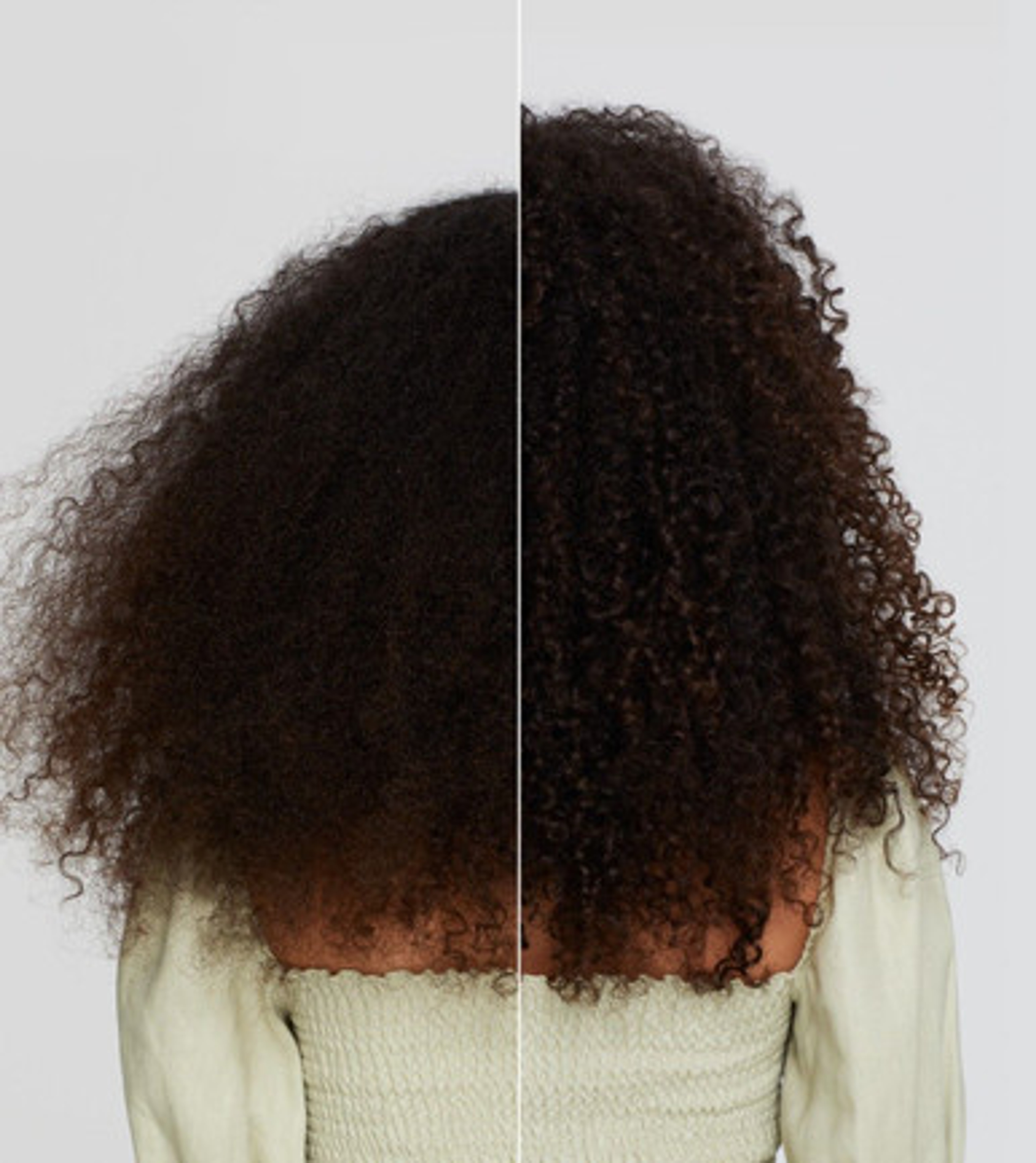 Anti-Frizz Shampooing 250 ml
