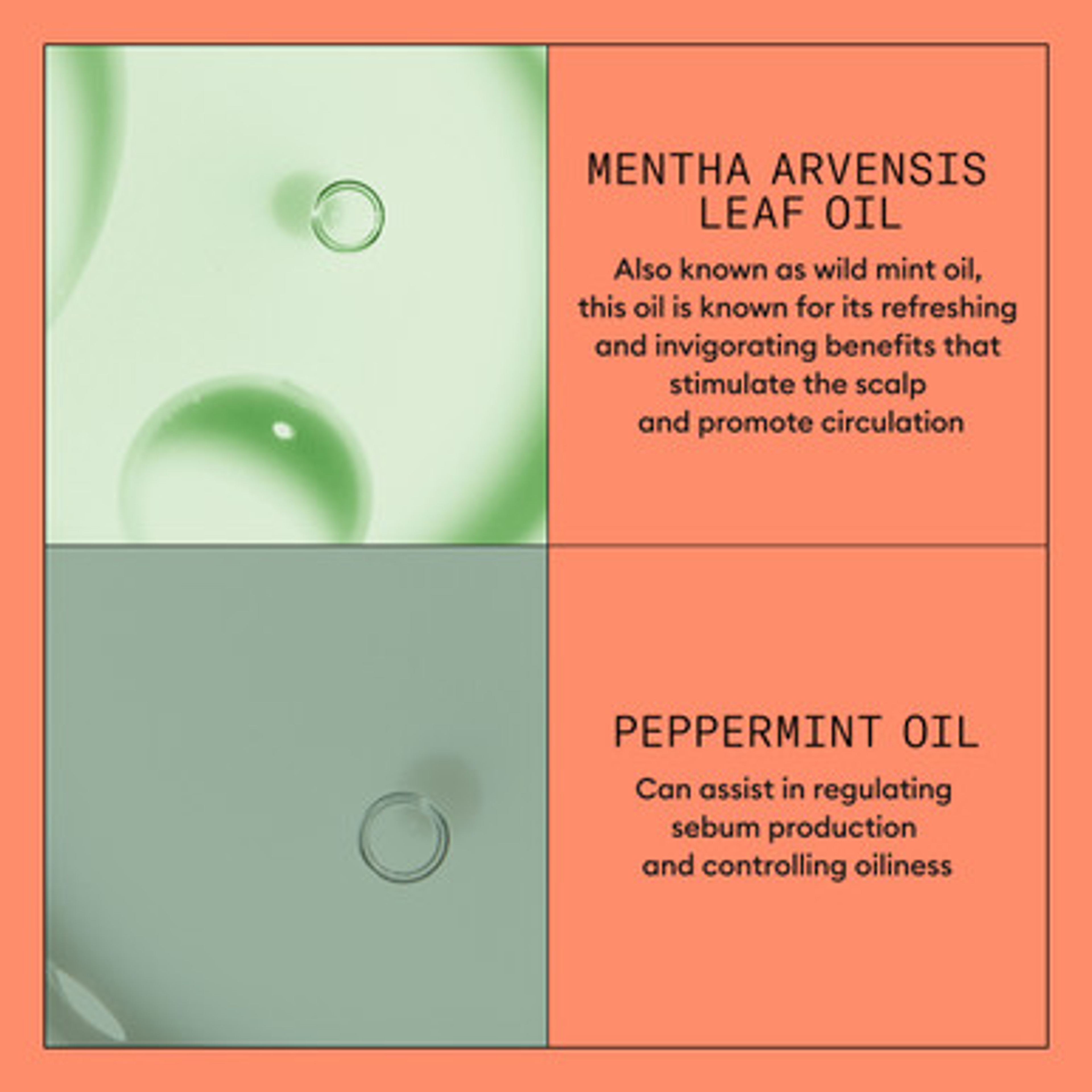 System 4 Revitalizer   300 ml