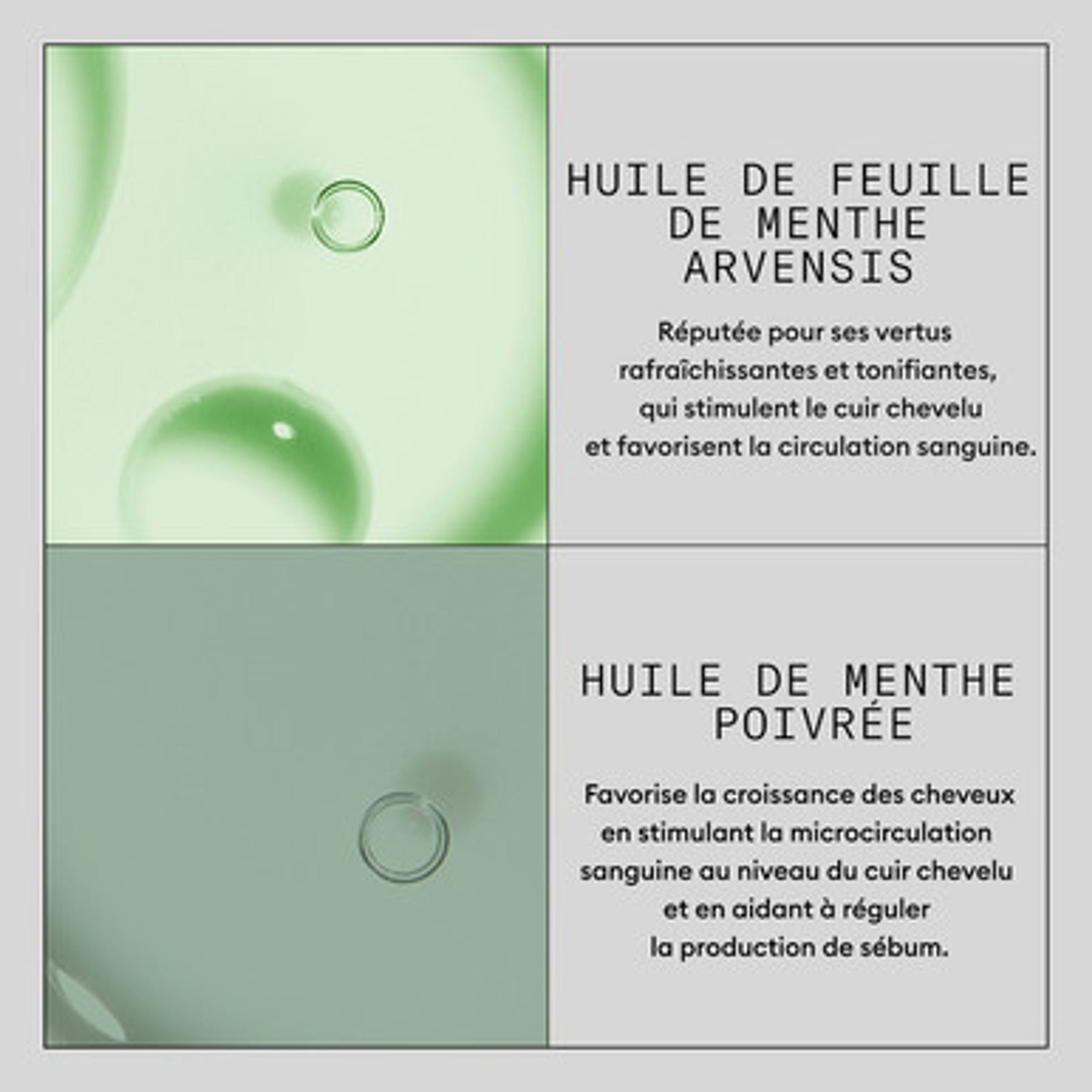 Instant Fullness 180 ml