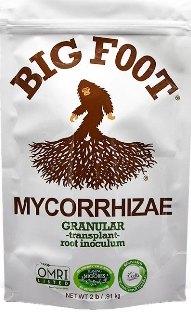 Big Foot Granular Root Inoculum