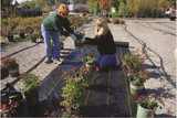 Sunbelt Woven Fabric Weed Barrier