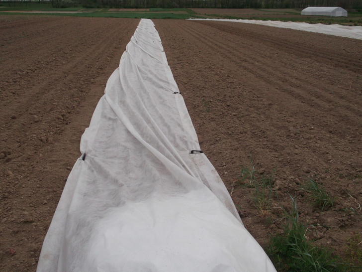 FrostGuard - Row Cover Frost Protection