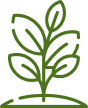 Stronger Healthier Plants