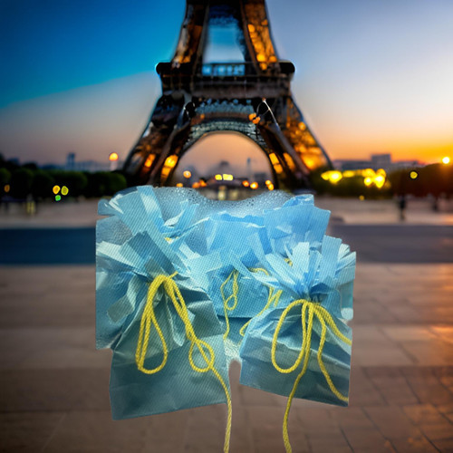 Jewelry Grab Bags A Little Bit Of Paris, 8- 20 /Giving Away A Free Piece of Jewelry Order Required