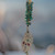 Hand-Designed Crystal Hanging Decorations | Choose Your Favorite Design